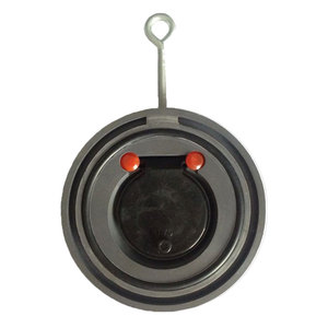 Nhựa <span class=keywords><strong>2</strong></span> <span class=keywords><strong>Inch</strong></span> PVC Flap Kiểm Tra Van Wafer Loại Kiểm Tra Van - Product Image 3