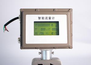 Misuratori di <span class=keywords><strong>portata</strong></span> a turbina a <span class=keywords><strong>Gas</strong></span> misuratore di <span class=keywords><strong>portata</strong></span> gpl 24VDC SUS304 alloggiamento 1.0% R turbina a <span class=keywords><strong>Gas</strong></span> flussometro - Product Image 3