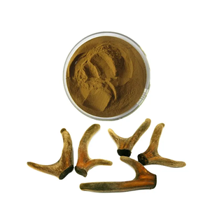 Extrait de bois de velours de cerf natif de médecine traditionnelle chinoise pour renforcer le système immunitaire - Product Image 1