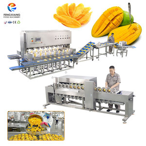 Línea de Procesamiento de Mango Automática Industrial de 2000-5000 kg/h con Máquina Multicabezal para Pelar, Deshuesar y Rebanar - Product Image 1