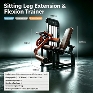 Machine de musculation commerciale tout-en-un pour extensions et flexions assises des jambes et biceps, en acier S-HM13-1 - Product Image 2