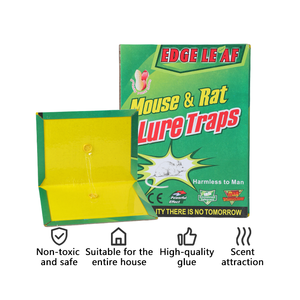 EDGE LEAF 900 Papan Perangkap Tikus Lem Beraroma Kacang 10g untuk Tikus Kecil dan Hama - Product Image 3