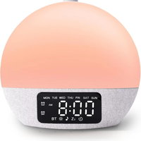 Réveil lumineux personnalisé IBN avec service de réveil au lever du soleil, machine à bruit blanc multifonctionnelle, compagnon de sommeil et musique apaisante