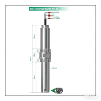 Capteur de pH intelligent au sémium 0-14pH IP68 avec boîtier PPS 4-20mA pour la surveillance de la qualité de l'eau des eaux usées, de l'aquaculture et des eaux alimentaires