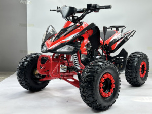 <span class=keywords><strong>Quad</strong></span> 125cc à refroidissement par air, 4 roues, à essence, pour travaux agricoles et loisirs, directement de l'usine, OEM/ODM - Product Image 1