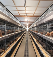 Bâtiment métallique préfabriqué pour élevage avicole commercial à grande échelle, structure en acier préfabriquée pour poulailler