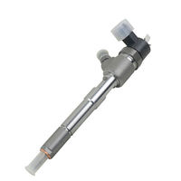 Injetor Diesel Common Rail de Alta Qualidade Novo 0445110351 em Aço Inoxidável Acessórios Universais
