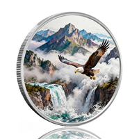 Pièce de monnaie en cuivre colorée en relief personnalisée, 1 once Troy, cuivre pur 999 avec placage argent 999, médaille sur le thème de l'aigle chauve