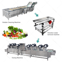 Lonkia Industriële Bubbel Tomaat Waslijn Droogmachine Maïs Fruit Wasmachine Groente Ui Wasmachine Reinigingsmachine