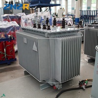 Transformateur immergé dans l'huile triphasé extérieur monté sur poteau 11KV 33KV 50KVA 100KVA 200KVA 300KVA ONAN Dyn11 Prix usine
