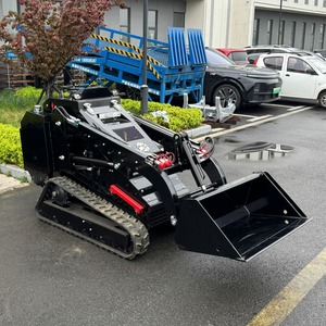 Minicargadora Hidráulica Económica para Jardín y Huerto, Minicargadora de 0.5 Toneladas en Venta - Product Image 1