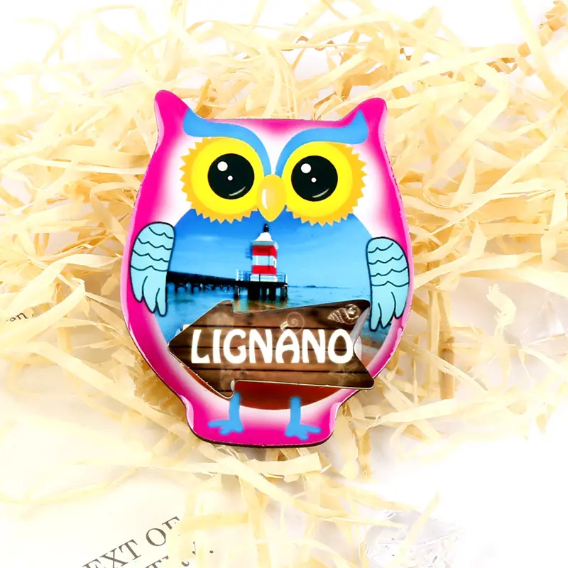 Werbe geschenke Tourist Souvenir Italien Lignano Urban Buildings Kunden spezifische 3d Tier Eule Eva Kühlschrank Magnet