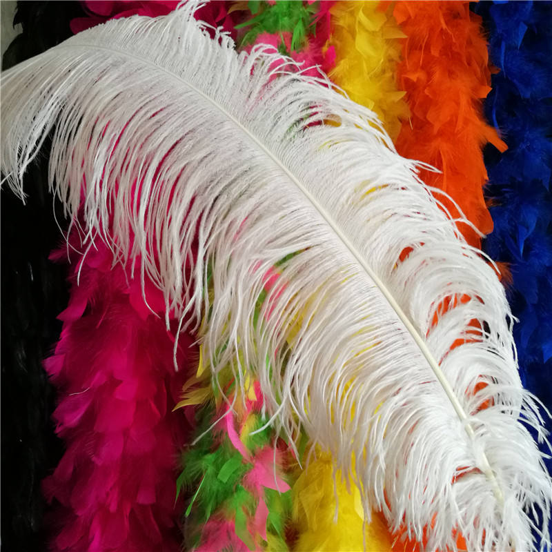 Piume Decorative Per Vaso 10 Piume Di Struzzo Bianche Naturali 45-50 Cm - Per Matrimoni, Centrotavola, Decorazioni Piume Di Struzzo Per Abiti