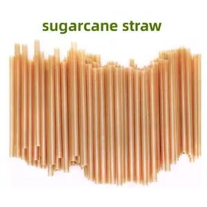 Factory Price Biodegradable Bubble Tea Boba Straws Reusable For Cafe Restaurant Home