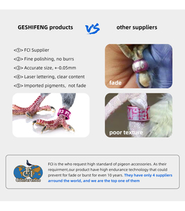 Geshifneg China Leveren Groothandel Custom 3Mm Rode Duif Vogel Been Banden Of Been Ring Voor Vogels India - Product Image 5
