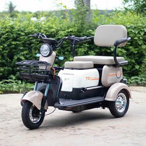 <span class=keywords><strong>Triciclo</strong></span> Eléctrico Inteligente de Gran Potencia de 600w, el Más Nuevo del 2026, en Existencia - Product Image 6