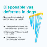 Cathéter jetable de paille de tube d'insémination artificielle pour le chien canin chat vache mouton 15cm 20cm 30cm 40cm utilisation vétérinaire de sperme