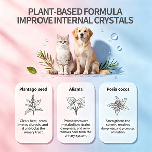 Suplemento <span class=keywords><strong>para</strong></span> el Cuidado Urinario de Mascotas, <span class=keywords><strong>para</strong></span> la Micción Frecuente y Cristales, Fórmula de Apoyo Renal y Vesical <span class=keywords><strong>para</strong></span> Perros y Gatos - Product Image 3