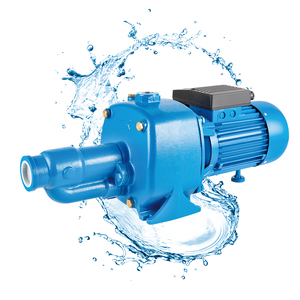 Pompe à eau à jet personnalisée CAB 1HP avec impeller en laiton et arbre en acier inoxydable, moteur 12V haute pression, fabrication OEM Chine - Product Image 4