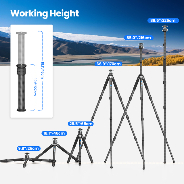 WEYLLAN GX9 Carbon Fiber Tripod Heavy Duty Tripod Professional Camera Tripod Monopod Tube 40mm for Telephoto Lens Load 40kg L97