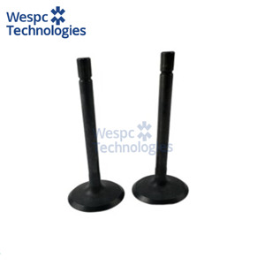 Soupape d'admission en fonte haute durabilité WESPC U20166380 pour moteurs Perkins 403A 403D 403F 403 403A-11G - Product Image 3