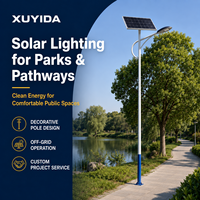 Lampadaire solaire LED XUYIDA 6M/8M/10M avec batterie LiFePO4 étanche IP66 pour usage extérieur, jardin, parking, route rurale