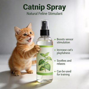 Spray à la Catnip 100% Naturel et Inodore, Sûr, Non Toxique, Sans Additifs, Améliorateur de Jouets pour Chat, Vente Directe Usine - Product Image 4