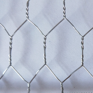 Malla de Alambre Hexagonal Galvanizada en Caliente de 1/2 Pulgada BWG 22 y Cerca para Jaulas de Pollos de Fábrica China - Product Image 2