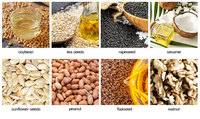 GX140 Presse automatique à froid pour huile de tournesol, sésame, noix de coco, canola, cacahuètes, graines de lin et amandes