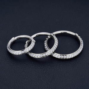 G23 Titanio 16G Pendientes de moda Nariz Oreja Piercing Anillo Cartílago Daith Aro Segmento con bisagras ASTM F136 Tit Zircon Joyería para el cuerpo - Product Image 4