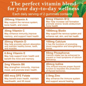 Gomitas multivitamínicas con vitaminas A <span class=keywords><strong>C</strong></span> E B6 B12 y minerales Gomitas naturales sin OGM - Product Image 6