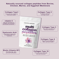 Poudre de peptides de collagène multi-sources Richtek en gros – Types I, II, III, V, X – Soutient la santé de la peau, des cheveux et des ongles – Approvisionnement en vrac de qualité supérieure – Meilleur prix