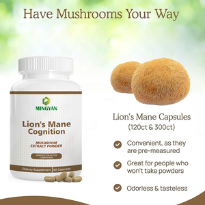 Cápsulas de Hongos de Fábrica GMP, Mezcla Compleja para la Concentración, Energía, Estado de Ánimo y Apoyo Nervioso e Inmunológico, Suplemento Herbal para la Salud Cerebral - Product Image 2