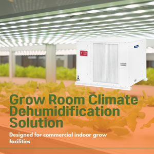 Deshumidificador Altaqua para Cultivo en Interiores e Invernaderos, en Existencia - Product Image 1