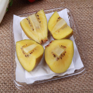 High Quality Absorbent <b>Pad</b> for Meat, Seafood and Poultry - Product Image 1