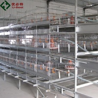 Nouvelle Offre Spéciale : Cages à poulets de chair de type H/A galvanisées à chaud avec équipement d'alimentation automatique en batterie