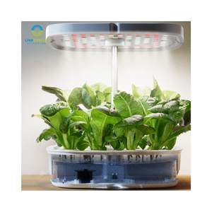 <span class=keywords><strong>Mini</strong></span> système hydroponique intérieur intelligent jardinière de jardin <span class=keywords><strong>hauteur</strong></span> réglable système de culture hydroponique minuterie de lumière LED pour légumes - Product Image 2