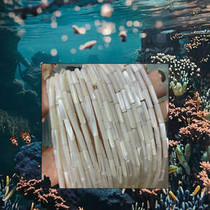 Cuentas Redondas Sueltas de Concha Blanca Natural y Coral para la Elaboración de Joyería - Product Image 3