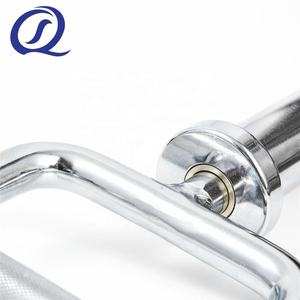 <span class=keywords><strong>Barra</strong></span> de Pesas de 10 kg para Ejercicios de Gimnasio en Casa, Personalizada, para Sentadillas, Peso Muerto, Elevaciones de Hombros, <span class=keywords><strong>Curl</strong></span> de Tríceps - Product Image 6