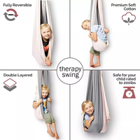 Ensemble Premium suspendu Portable pliant enfants enfants Double thérapie sensorielle aérienne Yoga extérieur intérieur hamac balançoire