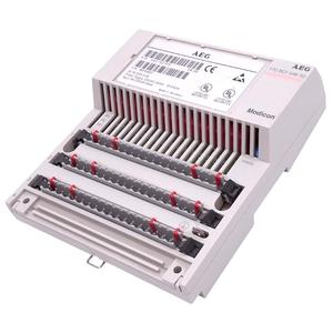 MÓDULO DE ENTRADA PLC ORIGINAL SUPPLY 170-BDI-546-50, 16 CANALES, 120 VCA, MONTAJE EN RIEL DIN. - Product Image 1