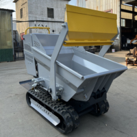 Mini-Raupendumper 500kg Maschinengewicht Eaton Hydraulikpumpe Raupenlader Hohe Betriebseffizienz Motor Getriebe Kernkomponenten