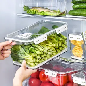 Seçim eğlenceli şeffaf PET buzdolabı buzdolabı taze tutma çift katmanlı drenaj kutusu depolama organizatör kapaklı