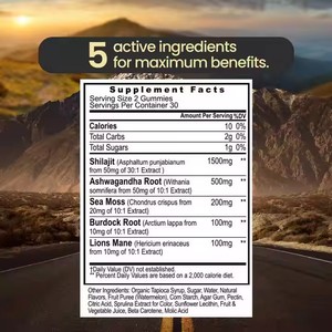 Gomitas de Shilajit Puro 5 en 1 con Ashwagandha, Raíz de Bardana, Melena de León y Musgo Marino, Suplemento Energético con Más de 105 Minerales Traza - Product Image 6