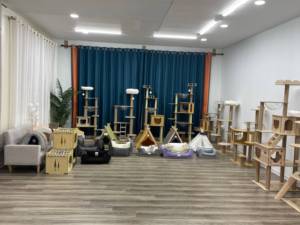 Productos Multifuncionales para Mascotas, Torre para Gatos de Madera Ecológica, Hamaca, Árbol para Gatos, Muebles, Poste Rascador para Gatitos, Casa para Mascotas - Product Image 6