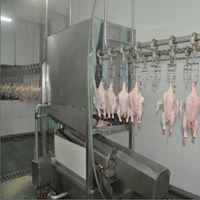Abattoir automatique Traitement de la volaille Équipement d'abattoir Plucker Scalder Système d'abattage des poulets de chair