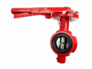 Disque en fonte ductile CF8 de 2'' à 12'' à col court et corps cranté, avec joint EPDM, pour conduites pétrolières et gazières - Product Image 2