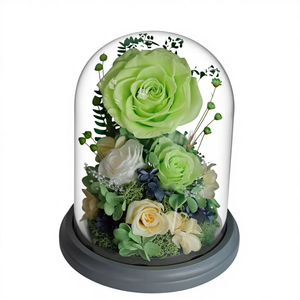 Rosa Preservada con Cúpula, Estilo 2026, Flor Eterna, Amor Activo, para Regalos Festivos y Decoración de Escenarios, Rosa Peonía - Product Image 3