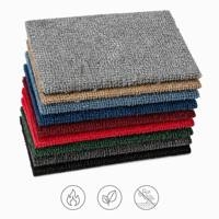 Tapis bouclé 100% polypropylène, adapté aux animaux domestiques, antidérapant, pour hôtels, bureaux et salons.