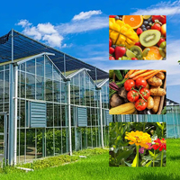 Serre Agricole Solaire Avancée ZhuoTai – Matériaux en Acier Durables, Grand Cadre Tubulaire Rond Stable pour Usage en Jardinage